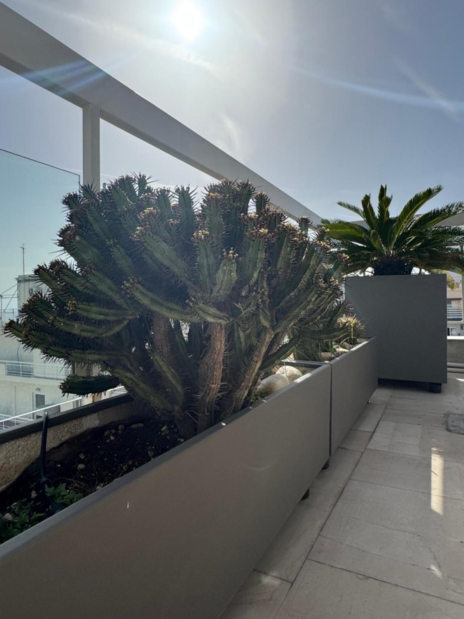 Sea Horizon Penthouse Flat Διαμέρισμα Αθήνα Εξωτερικό φωτογραφία